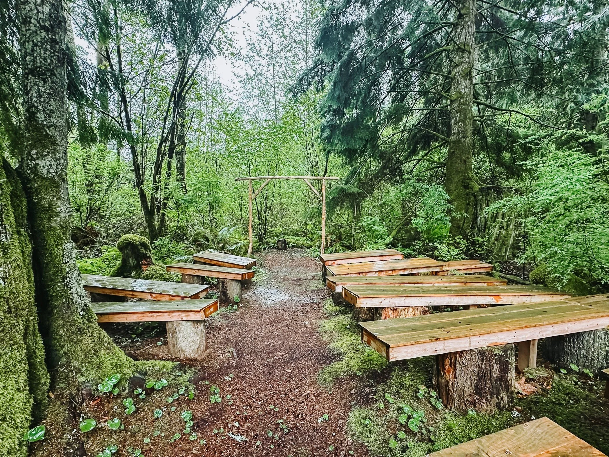  The outdoor ceremony space of Woodside Haven - Logg Meadow. 