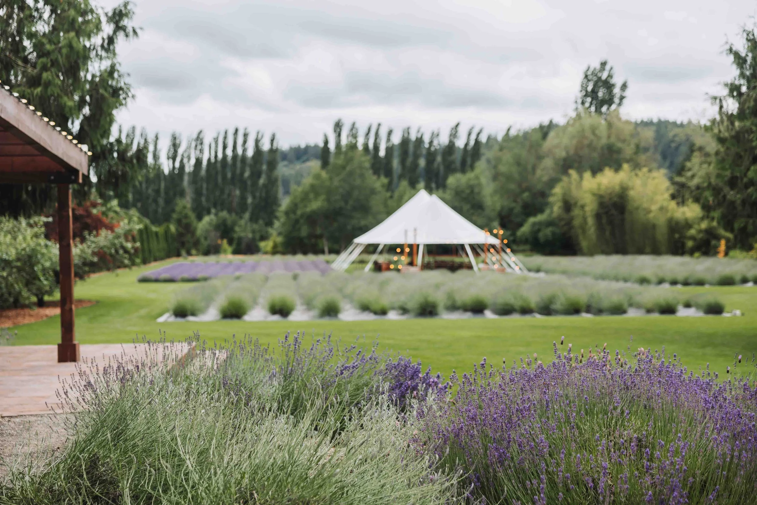 Woodinville Lavender Event Venue in Woodinville, Washington